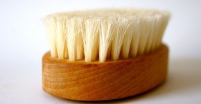 Best Dry Brush For Cellulite