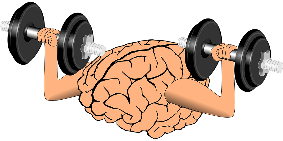 Image result for mind and muscle connection photos
